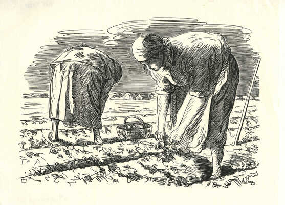 Маторин Михаил Владимирович. Уборка картофеля